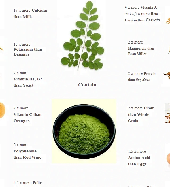 moringa power benefits