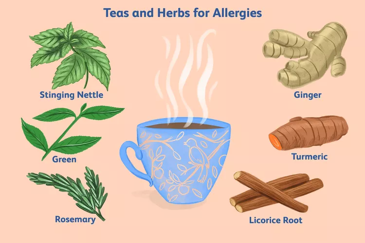 skin allergy treatment